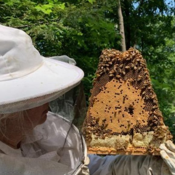 1 Organic PEPPERMINT Lip Balm Hand Crafted NWT - Picture 9 of 11